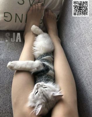 欧美雌雄另类xxxxx_成人直接看